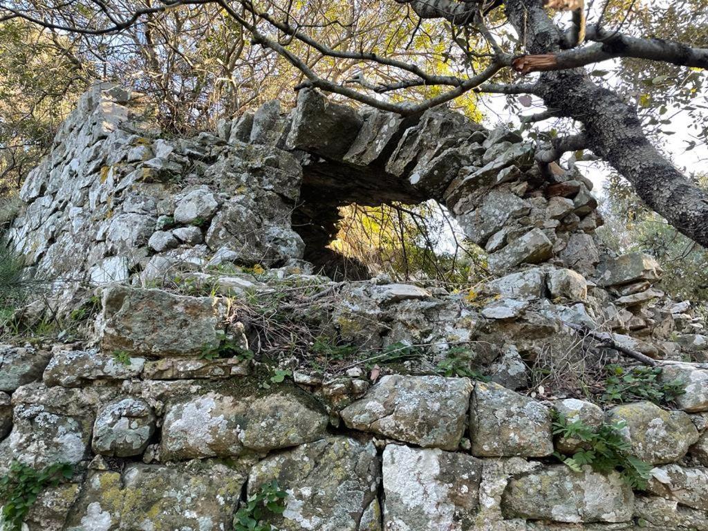 Antica Casa Prile Διαμέρισμα Castiglione della Pescaia Εξωτερικό φωτογραφία